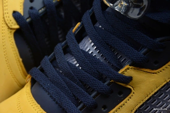 Rep EP 'Michigan' 5 CQ9541-704 Jordan Air CQ9541-704 0320